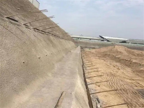 青浦河道边坡加固